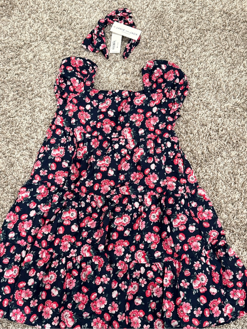 Janie and Jack Navy Dress with Pink Floral Print